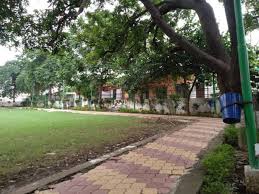 gandi park