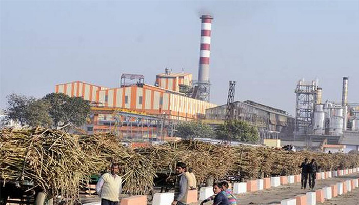Sugar Mills