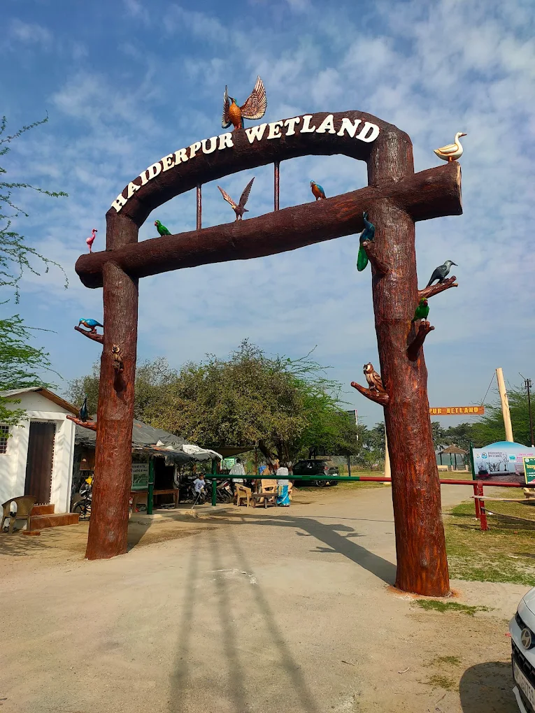 Haiderpur Wetland